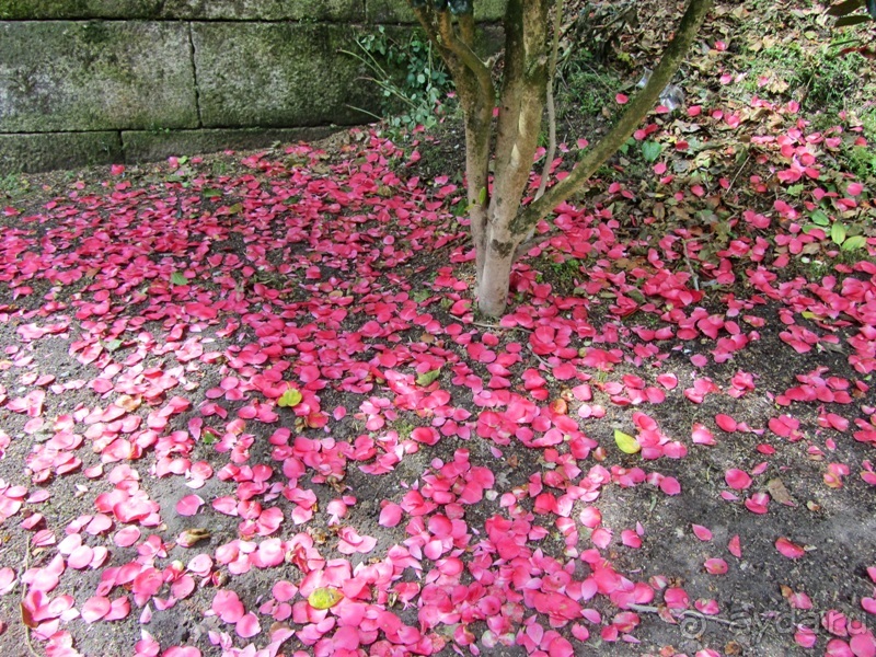 Испанская "Камчатка" - Галисия. Городские путешествия. Часть 3