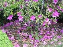 Испанская "Камчатка" - Галисия. Городские путешествия. Часть 3