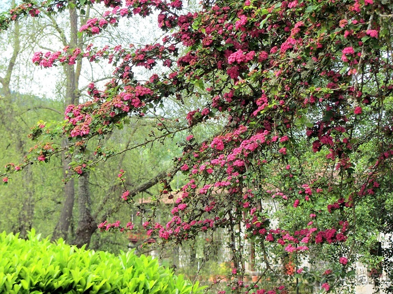 Испанская "Камчатка" - Галисия. Городские путешествия. Часть 3