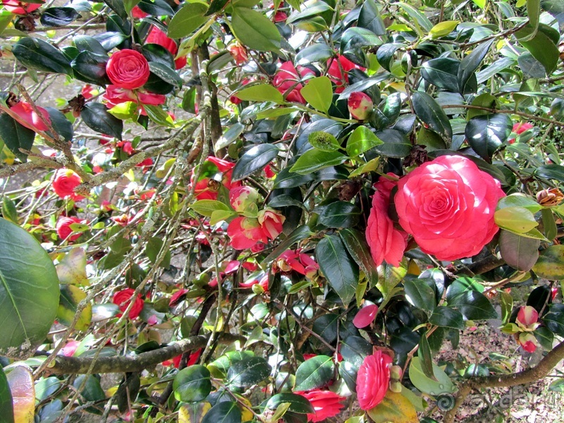 Испанская "Камчатка" - Галисия. Городские путешествия. Часть 3