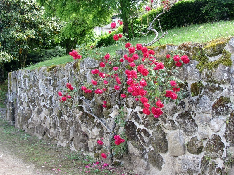Испанская "Камчатка" - Галисия. Городские путешествия. Часть 3