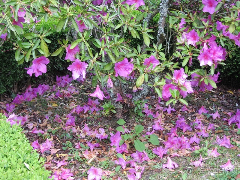 Испанская "Камчатка" - Галисия. Городские путешествия. Часть 3