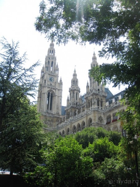 Альбом отзыва "Венские прогулялки - транзитный этюд"