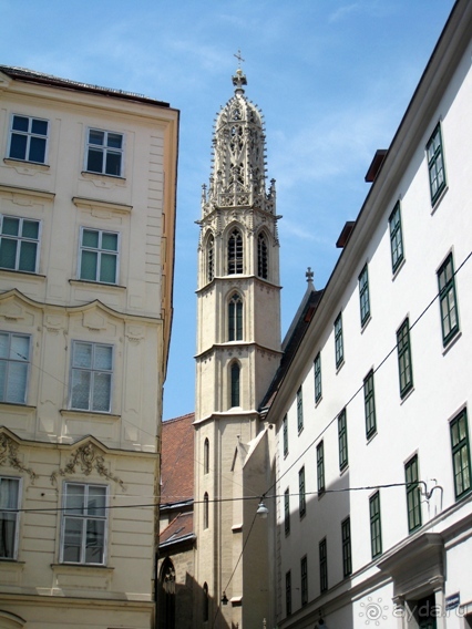 Венские прогулялки - транзитный этюд