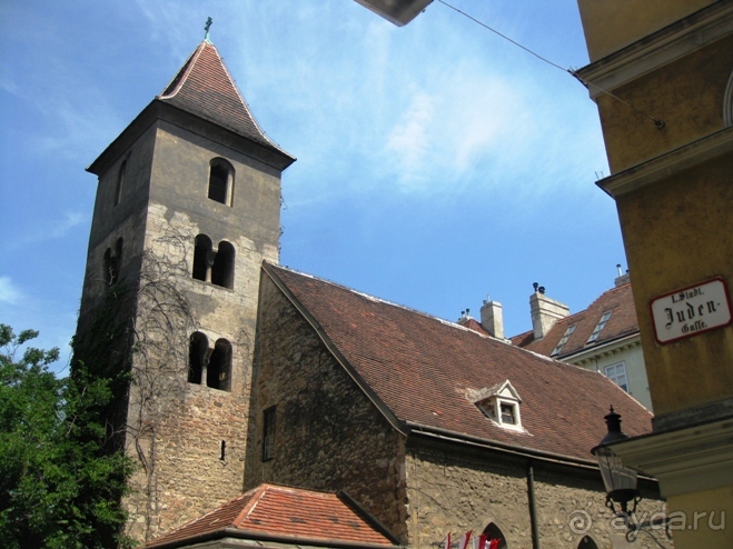 Венские прогулялки - транзитный этюд