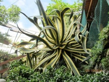 От Чинкве Терре до Флоренции, или боже, спаси Италию! Часть 3