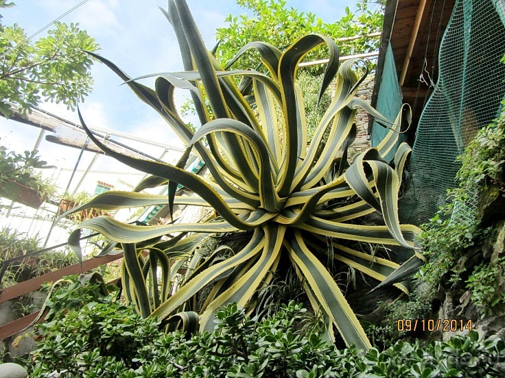 От Чинкве Терре до Флоренции, или боже, спаси Италию! Часть 3