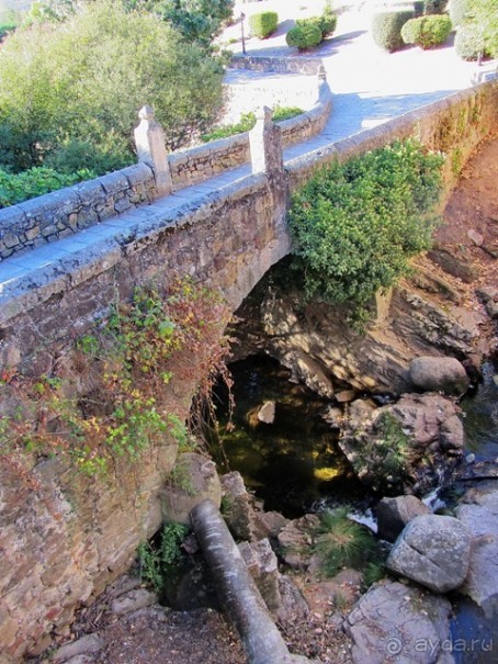 Как мы спасали ёжика и другие прогулки по Кастилии и вокруг Мадрида. Часть 1