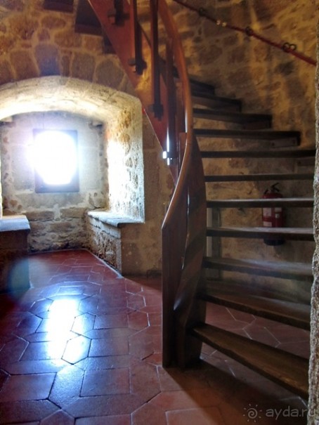 Как мы спасали ёжика и другие прогулки по Кастилии и вокруг Мадрида. Часть 1