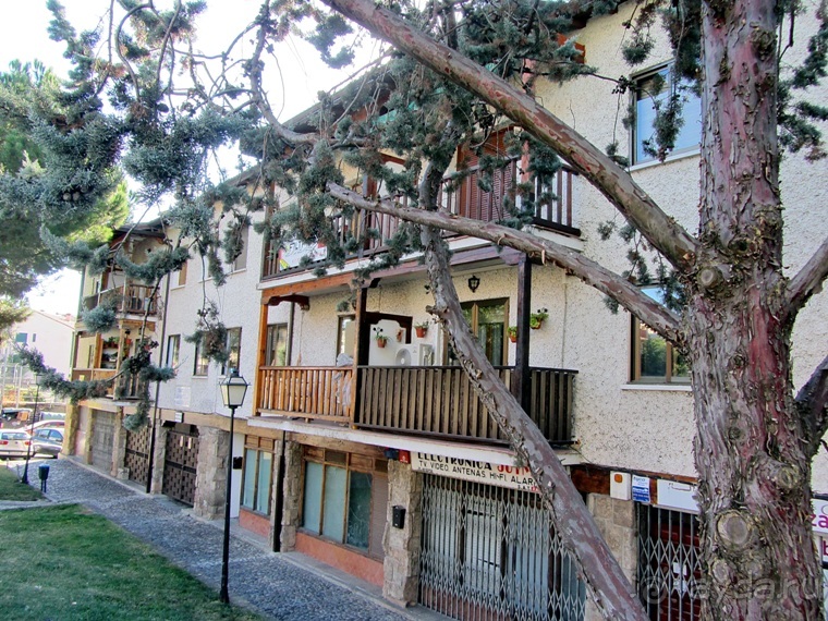 Как мы спасали ёжика и другие прогулки по Кастилии и вокруг Мадрида. Часть 1