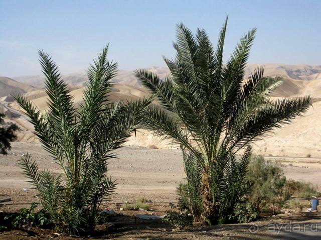 Иерусалим за 3 дня – с претензией на путеводитель. Дни 3 и 4