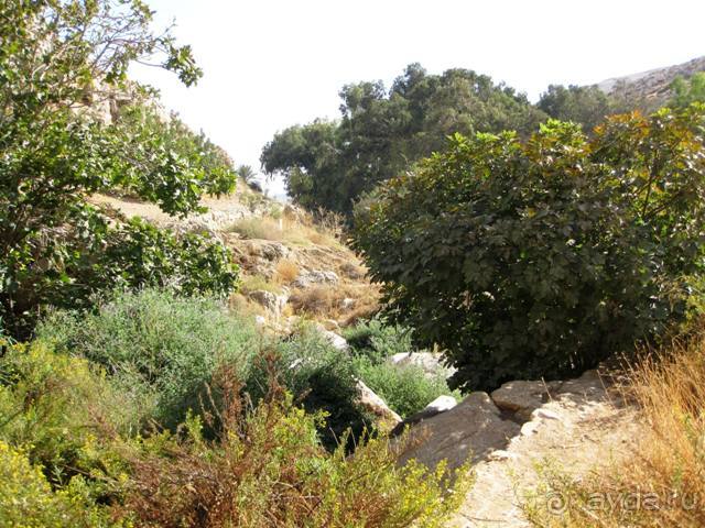 Иерусалим за 3 дня – с претензией на путеводитель. Дни 3 и 4