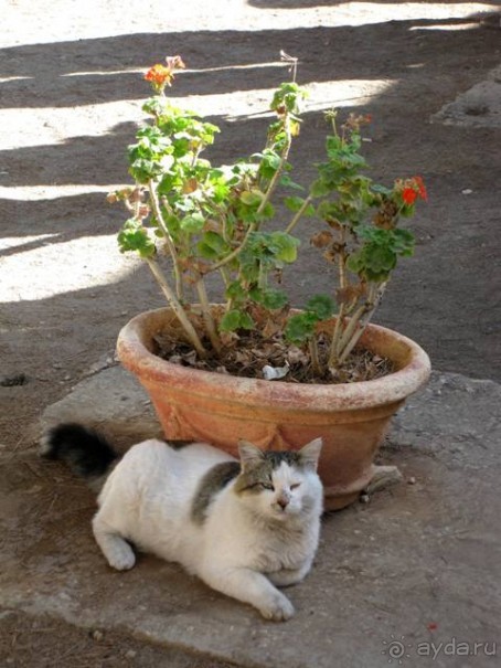 Иерусалим за 3 дня – с претензией на путеводитель. Дни 3 и 4