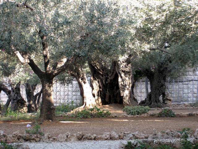 Иерусалим за 3 дня – с претензией на путеводитель. Дни 3 и 4