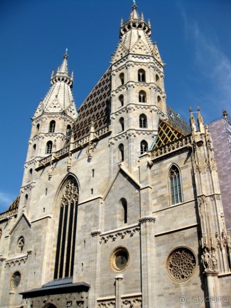 Альбом отзыва "Венские прогулялки - транзитный этюд (окончание)"