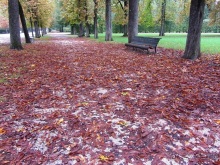 Эмилия-Романья вдоль и немного поперёк (Болонья и окрестности). Часть 6