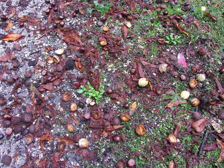 Эмилия-Романья вдоль и немного поперёк (Болонья и окрестности). Часть 6