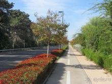 Второе пришествие в Израиль: Тель-Авив - Хайфа - Акко - Цфат - Галилея. Часть 2