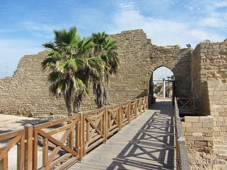 Второе пришествие в Израиль: Тель-Авив - Хайфа - Акко - Цфат - Галилея. Часть 2