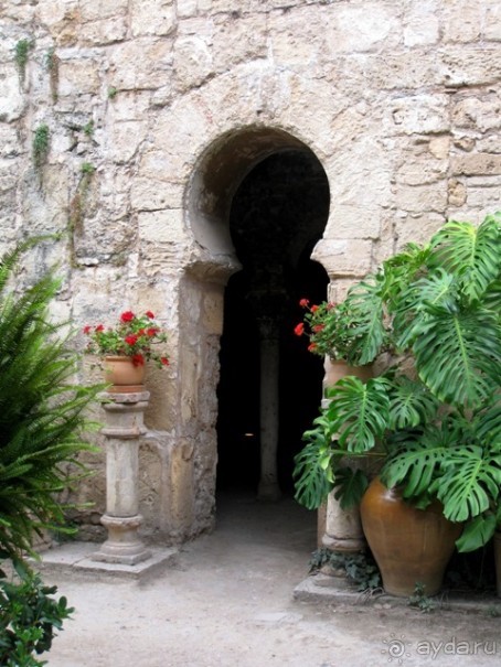 Снова в Испанию, или прогулки по Майорке. День 2.