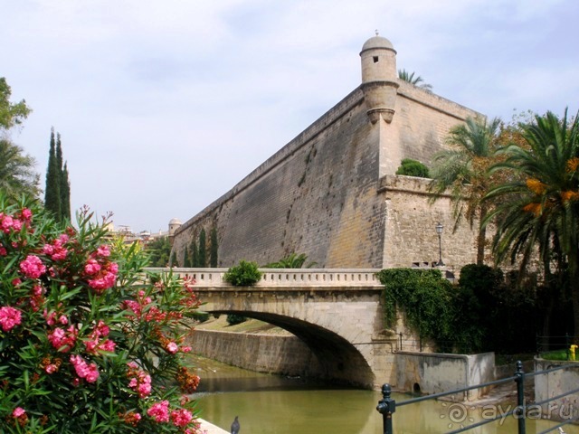 Снова в Испанию, или прогулки по Майорке. День 2.