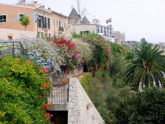 Снова в Испанию, или прогулки по Майорке. День 2.