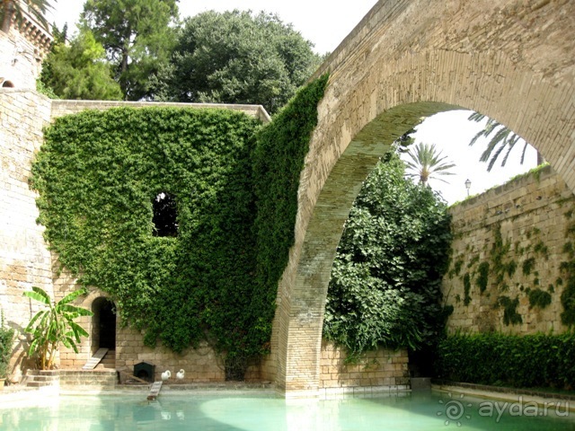 Снова в Испанию, или прогулки по Майорке. День 2.