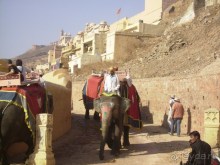 4 угла Золотого треугольника (Фатехпур-Сикри и Джайпур)