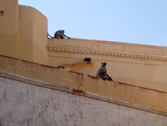 4 угла Золотого треугольника (Фатехпур-Сикри и Джайпур)