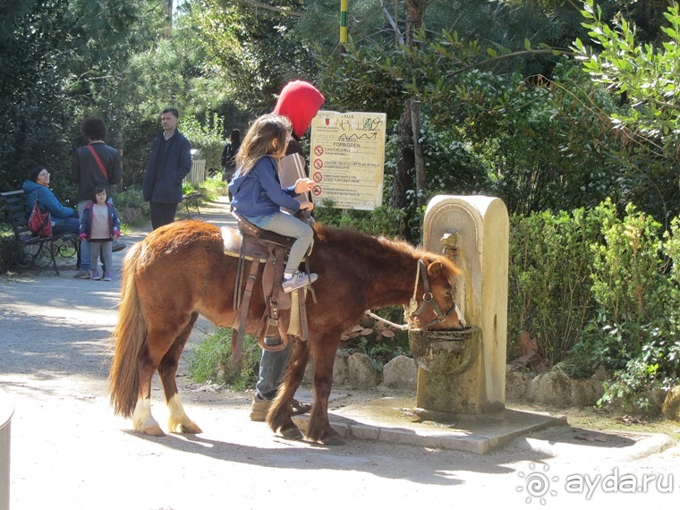 Италия в камне: Рим - Витербо - Гроссето - Питильяно - Сорано ... и опять Рим. Часть 12