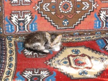 Турция: В Истанбуле, в Константинополе ...