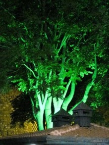 Турция: В Истанбуле, в Константинополе ...