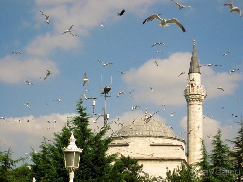 Турция: В Истанбуле, в Константинополе ...