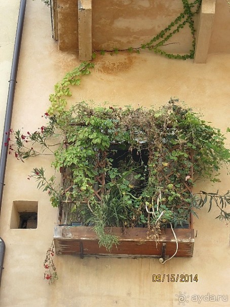 От Чинкве Терре до Флоренции, или боже, спаси Италию! Часть 5