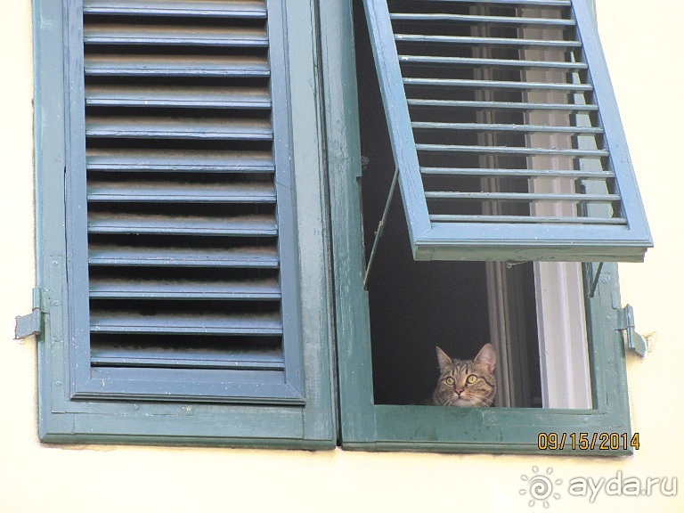 От Чинкве Терре до Флоренции, или боже, спаси Италию! Часть 5