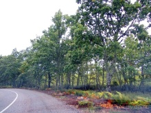 Как мы спасали ёжика и другие прогулки по Кастилии и вокруг Мадрида. Часть 9