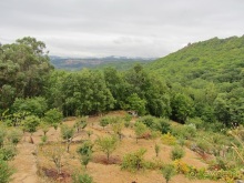 Как мы спасали ёжика и другие прогулки по Кастилии и вокруг Мадрида. Часть 9