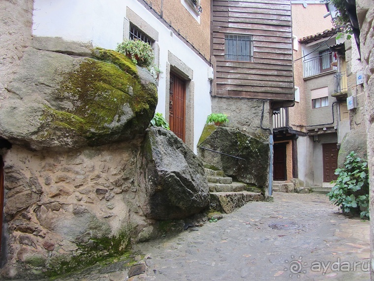 Как мы спасали ёжика и другие прогулки по Кастилии и вокруг Мадрида. Часть 9