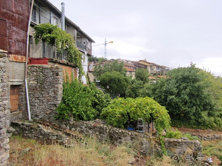 Как мы спасали ёжика и другие прогулки по Кастилии и вокруг Мадрида. Часть 9