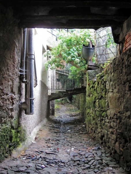 Как мы спасали ёжика и другие прогулки по Кастилии и вокруг Мадрида. Часть 9