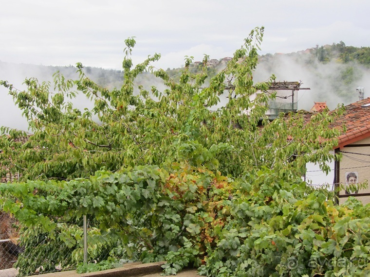 Как мы спасали ёжика и другие прогулки по Кастилии и вокруг Мадрида. Часть 9