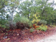 Как мы спасали ёжика и другие прогулки по Кастилии и вокруг Мадрида. Часть 9