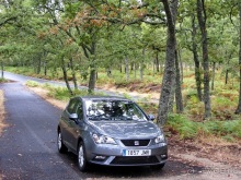 Как мы спасали ёжика и другие прогулки по Кастилии и вокруг Мадрида. Часть 9