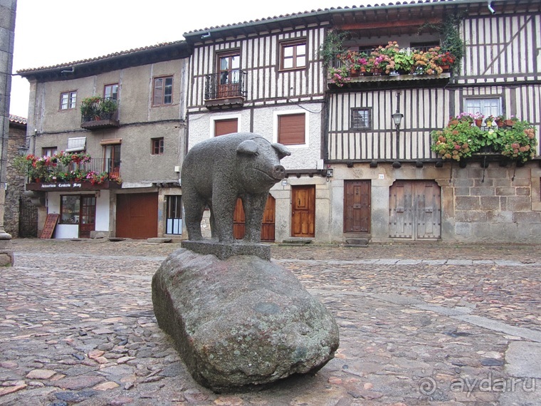 Как мы спасали ёжика и другие прогулки по Кастилии и вокруг Мадрида. Часть 9