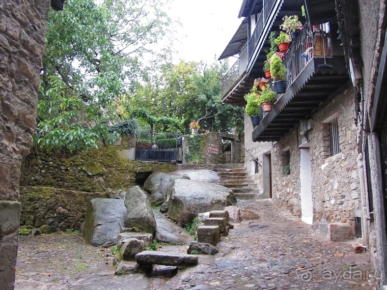 Как мы спасали ёжика и другие прогулки по Кастилии и вокруг Мадрида. Часть 9