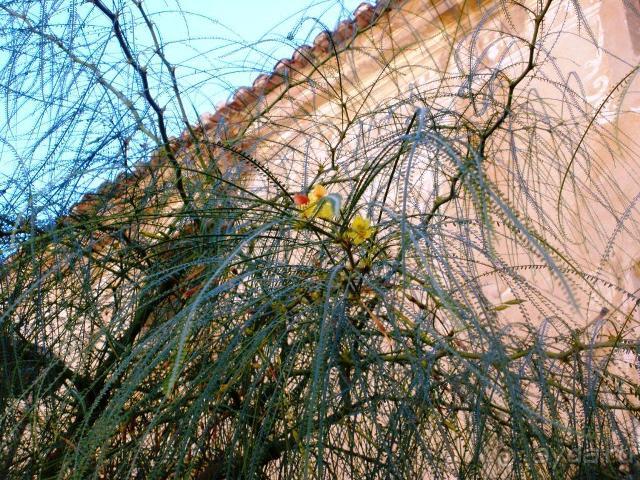 Самые красивые площади Испании - открытый фотообзор