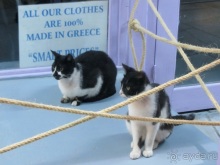 Санторинский кальдероскоп. Белое на голубом. Голубое на белом. Часть 11