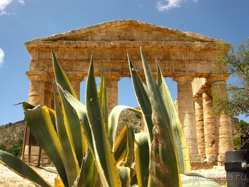 Альбом отзыва "Сицилия–страна камней и кактусов (неделя в сентябре)"