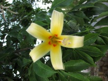 Сицилия–страна камней и кактусов (неделя в сентябре)