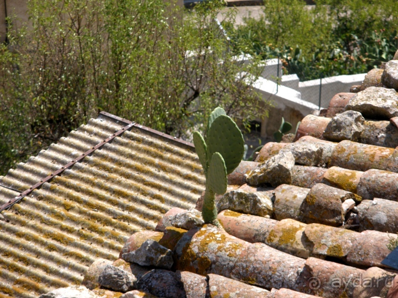 Альбом отзыва "Сицилия–страна камней и кактусов (неделя в сентябре)"